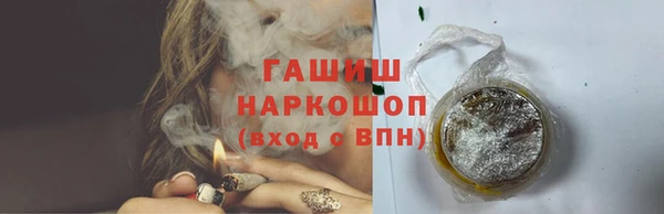 индика Алзамай