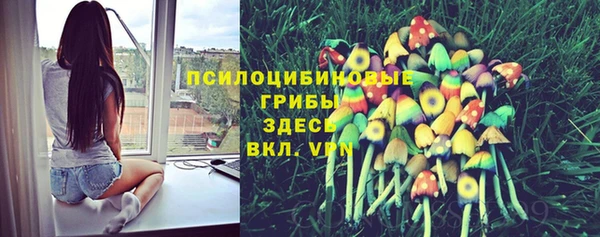 индика Алзамай