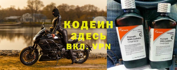 амф Алексин