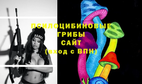 амф Алексин