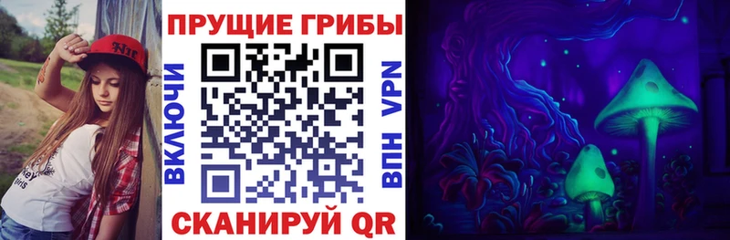 где купить наркоту  дарк нет формула  Псилоцибиновые грибы прущие грибы  Подольск 